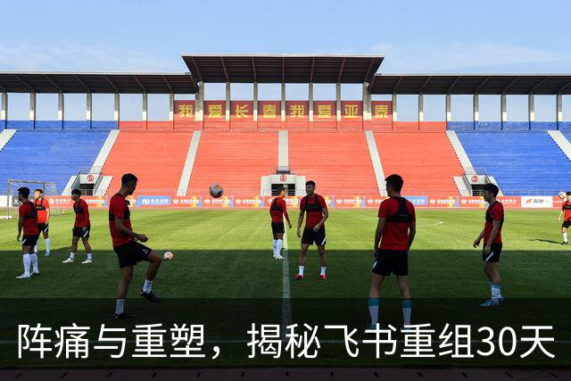 阵痛与重塑，揭秘飞书重组30天
